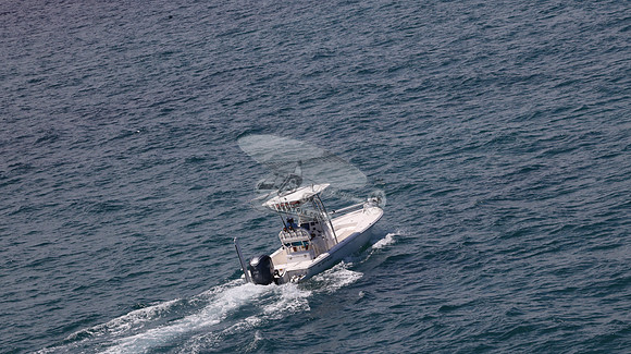FL0364TD.806