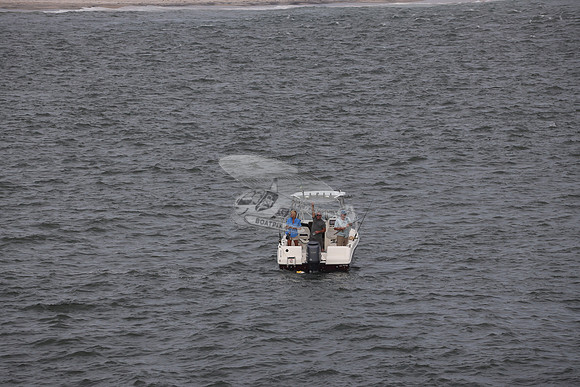 COBIA.4
