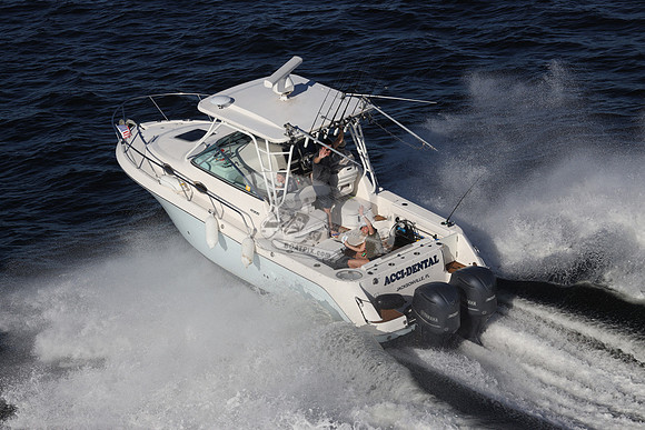 ACCI-DENTAL.JAX FL.ROBALO.06