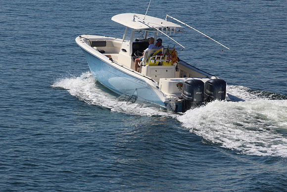 cobia.5396