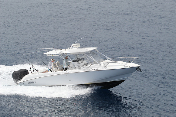 1293867.reel life.boston whaler.09