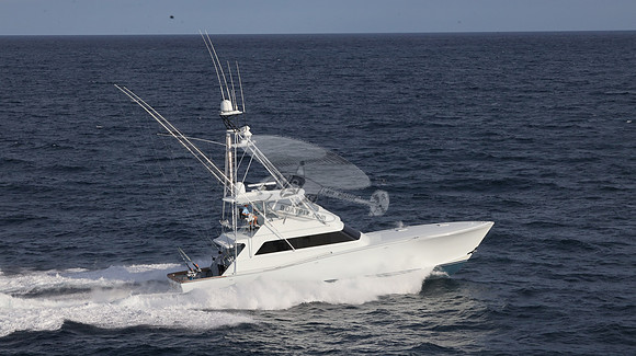 CHASIN TAIL.SINGER ISLAND.2948