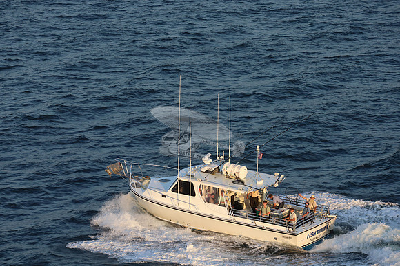 fish bound iv.ocean city md.8855