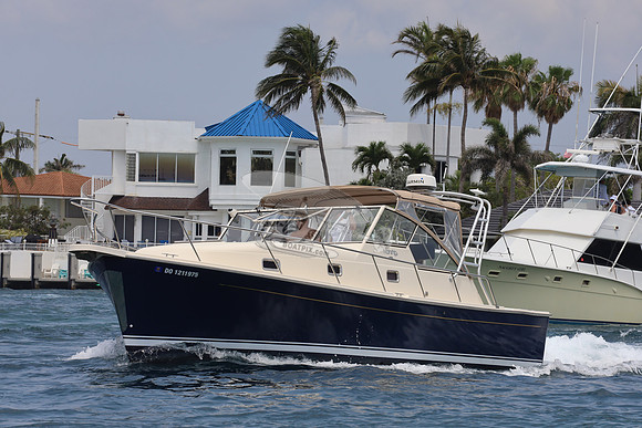 Bay Tripper.do1211975.3