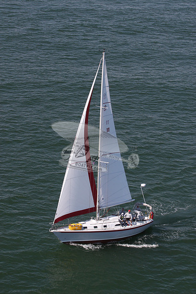 11.skalawag.4917