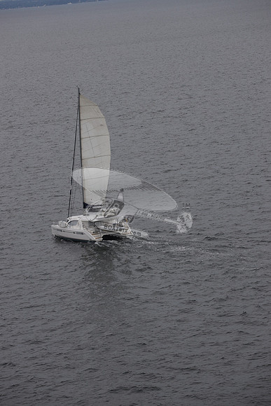 00000.catamaran.003