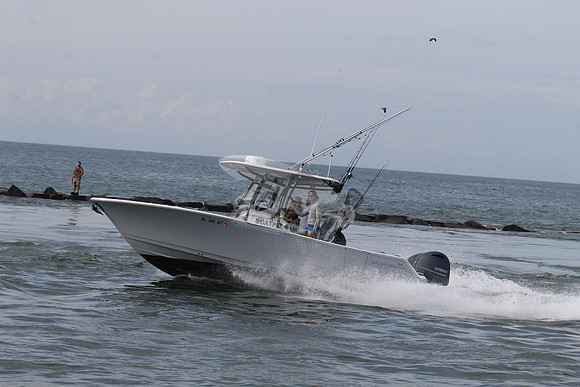 dl241at.5543