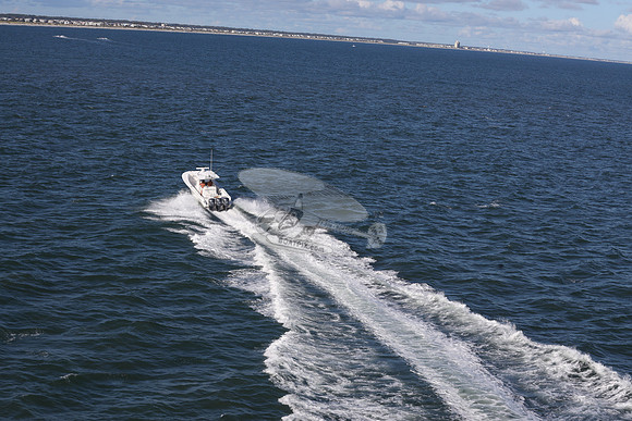 FL0193RD.06