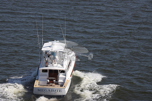 MEGABITE.MANTEO NC.01