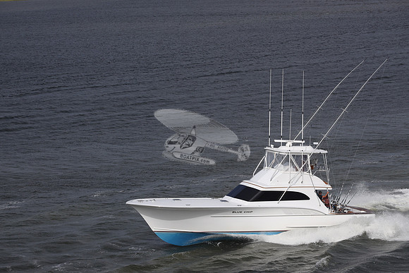 blue chip.kitty hawk nc.2159
