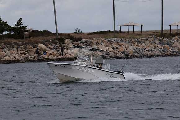 ms9333bw.02