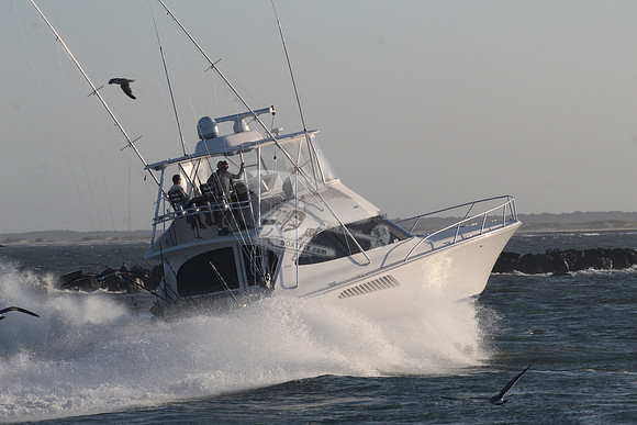 chain reaction.ocean city md.9955