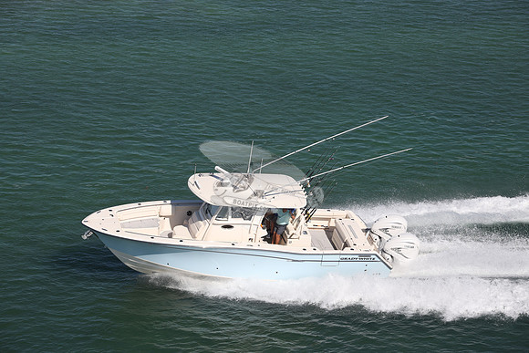 blue.grady white.08