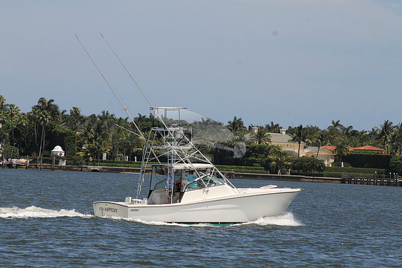 FISH HAPPENS.LANTANA FL.TOPAZ.15