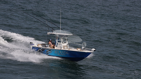 atlantic marine.gemlux.8208