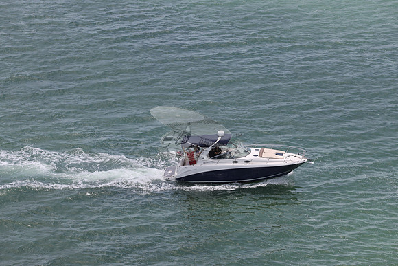 fl0382mv.01