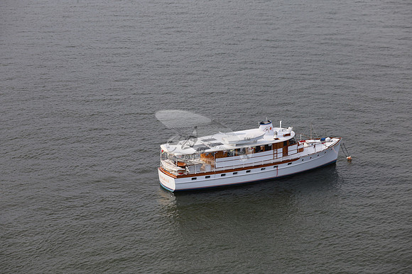 Aurora II.1