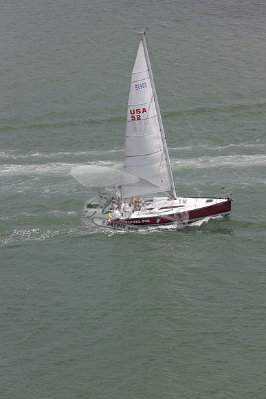 52.FLYING PIG.FL4122MM. 03