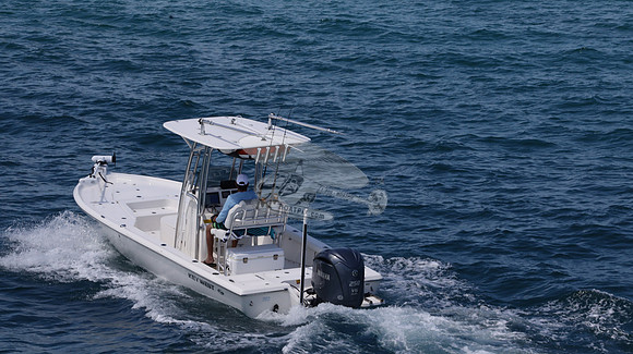 FL0364TD.814